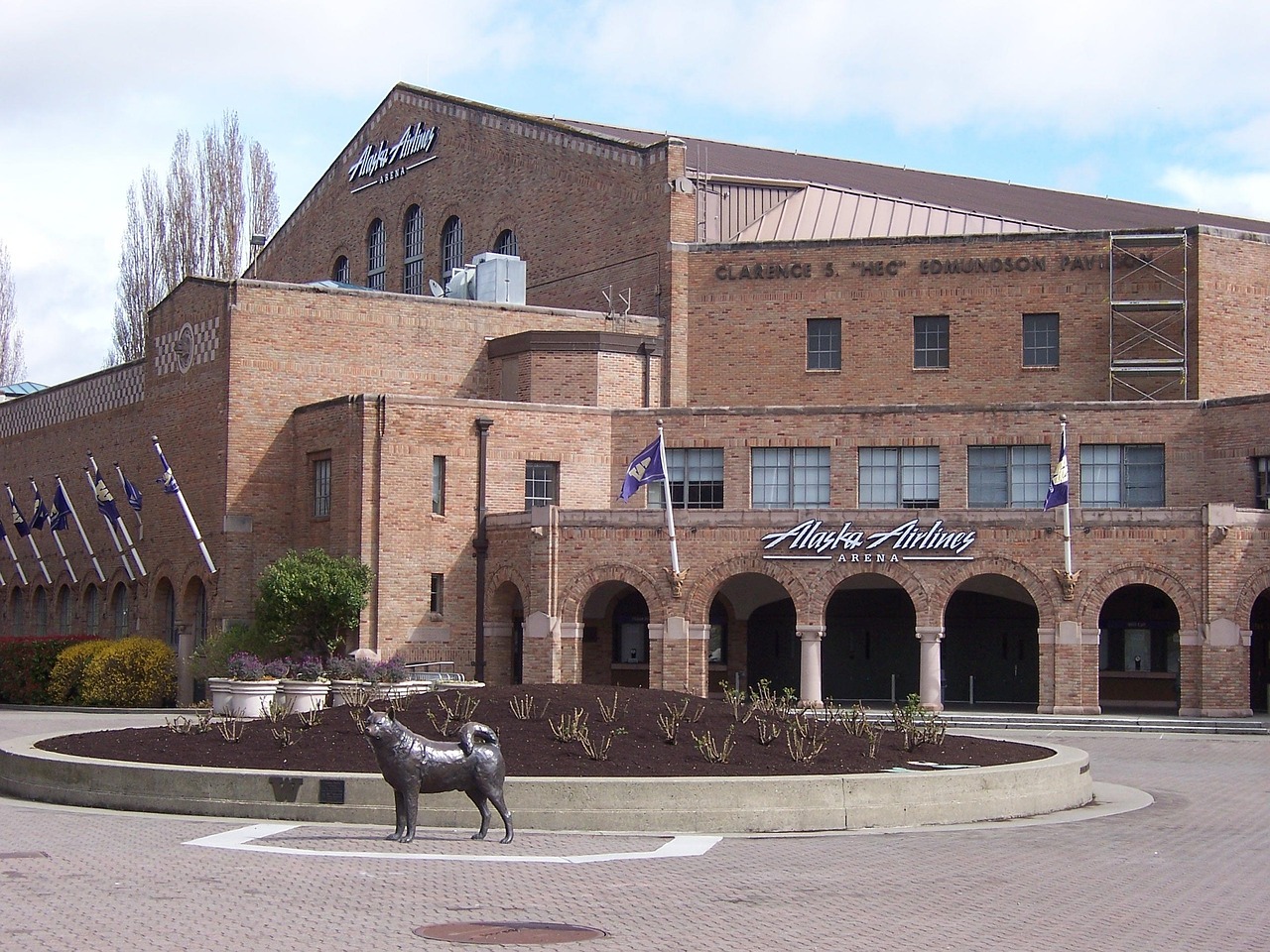四川大学怎么连校园网.四川大学校园网怎么登录